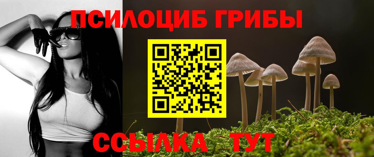 Галлюциногенные грибы Psilocybe Магнитогорск